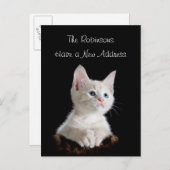 Schattigee kitten nieuw adres aankondigingskaart (Voorkant / Achterkant)