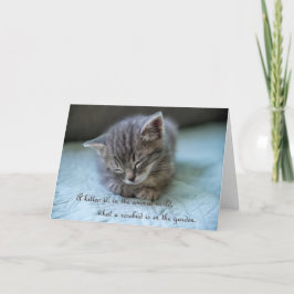 Schattigee Kitten Note Kaart