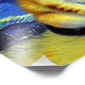 Schattigee kitten Sterrennacht Van Gogh Foto Afdruk (Hoek)