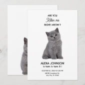 Schattigee kitten verjaardag kaart (Voorkant / Achterkant)