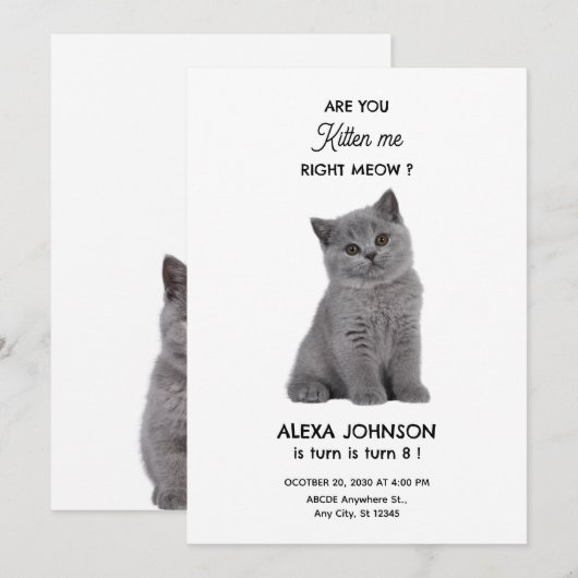 Schattigee kitten verjaardag kaart (Voorkant / Achterkant)