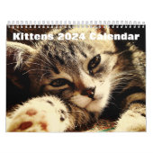Schattigee Kittens 2024 Kalender (Hoes)