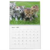 Schattigee Kittens 2025 Bengaalse tijger Kalender (Mar 2027)