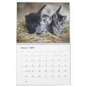 Schattigee Kittens 2025 Bengaalse tijger Kalender (Jan 2027)