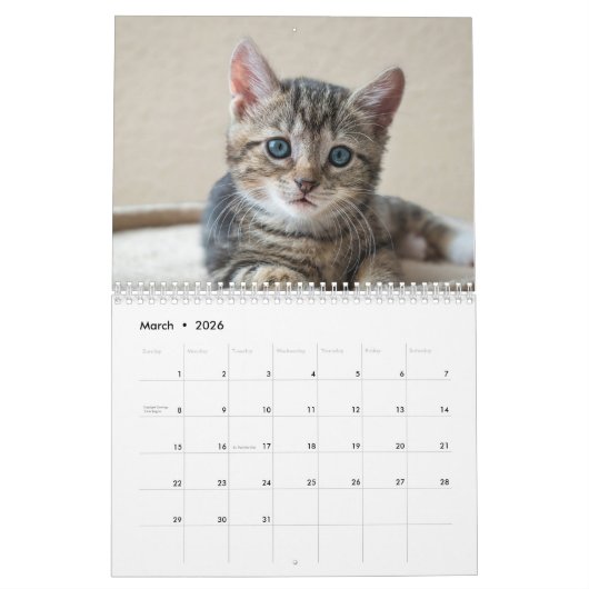 Schattigee Kittens 2025 Kalender (Mar 2026)