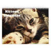 Schattigee Kittens 2025 Kalender (Hoes)