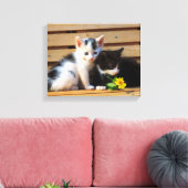 Schattigee Kittens Bloemen Kat Foto Canvas Afdruk (Insitu (Woonkamer))