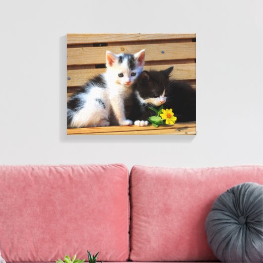 Schattigee Kittens Bloemen Kat Foto Canvas Afdruk (Insitu (Woonkamer))