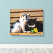 Schattigee Kittens Bloemen Kat Foto Canvas Afdruk (Insitu (Houten vloer))