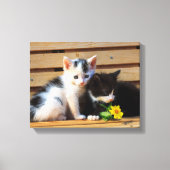 Schattigee Kittens Bloemen Kat Foto Canvas Afdruk (Voorkant)