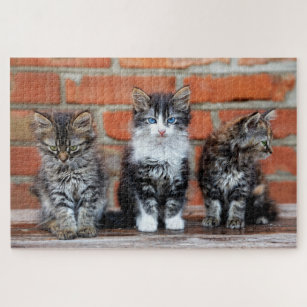 Schattigee Kittens die voor een bakstenen muur zit Legpuzzel