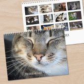 Schattigee Kittens en Katten Foto Kalender