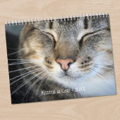 Schattigee Kittens en Katten Foto Kalender