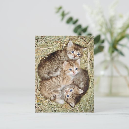 Schattigee Kittens in het Basket Briefkaart (Staand voorkant)