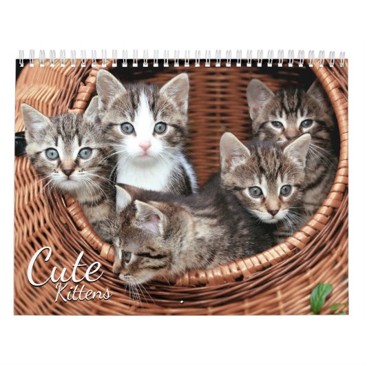Schattigee Kittens Kat Pet Fotokalender Kalender (Hoes)