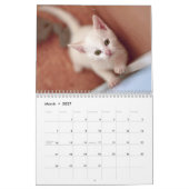 Schattigee Kittens Kat Pet Fotokalender Kalender (Mar 2027)