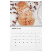 Schattigee Kittens Kat Pet Fotokalender Kalender (Feb 2027)
