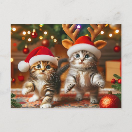 Schattigee kittens met Sinterklaas en rendieren pe Briefkaart (Voorkant)