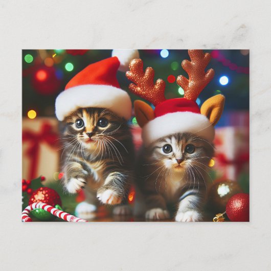Schattigee kittens met Sinterklaas en rendieren pe Briefkaart (Voorkant)