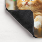 Schattigee kittens met Sinterklaas en rendieren pe Muismat (Hoek)