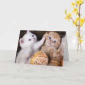 Schattigee Kittens missen je kaart (Gele Bloem)