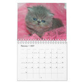 Schattigee Kittens Pet Fotokalender Kalender (Feb 2027)