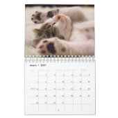Schattigee Kittens Pet Fotokalender Kalender (Mar 2027)