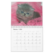 Schattigee Kittens Pet Fotokalender Kalender (Feb 2026)