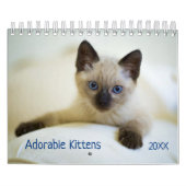 Schattigee Kittens Pet Fotokalender Kalender (Hoes)