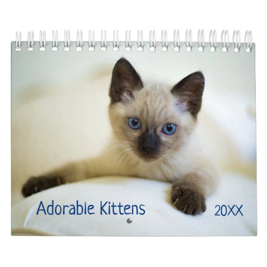 Schattigee Kittens Pet Fotokalender Kalender (Hoes)