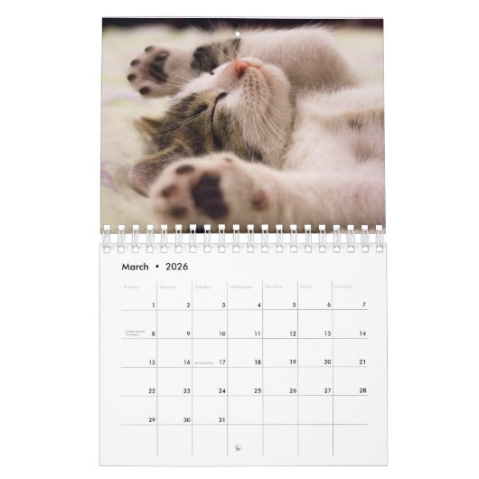 Schattigee Kittens Pet Fotokalender Kalender (Mar 2026)