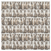 Schattigee  kittens stof (Swatch)