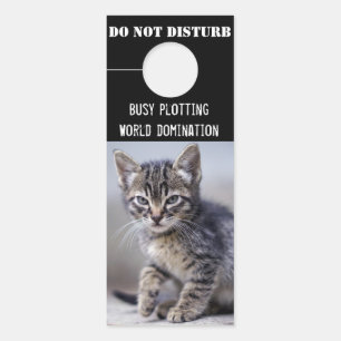 Schattigee kittens storen niet deurhanger