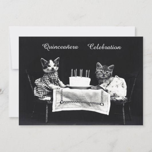 Schattigee Kittens Verjaardagsfeest Kaart (Voorkant)