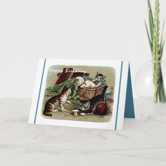 Schattigee Kitty Cats Afbeelding Happy Birthday Kaart (Voorkant)