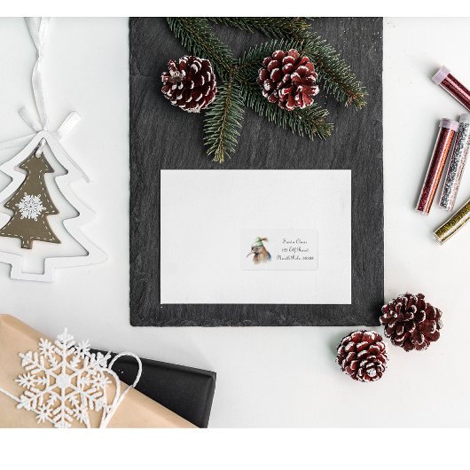 Schattigee Kiwi Bird in Christmas Elf Pet, op maat Etiket