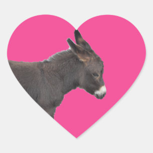 Schattigee kleine chocolade ezel veulen hart sticker