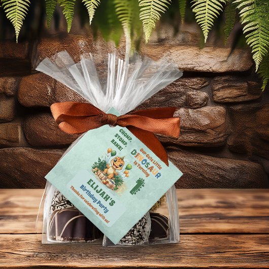 Schattigee kleine dinosaurusjongen 1e verjaardagsf bedankjes labels