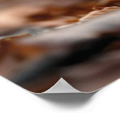 Schattigee kleine eekhoorn vangen een eikel poster (Hoek)