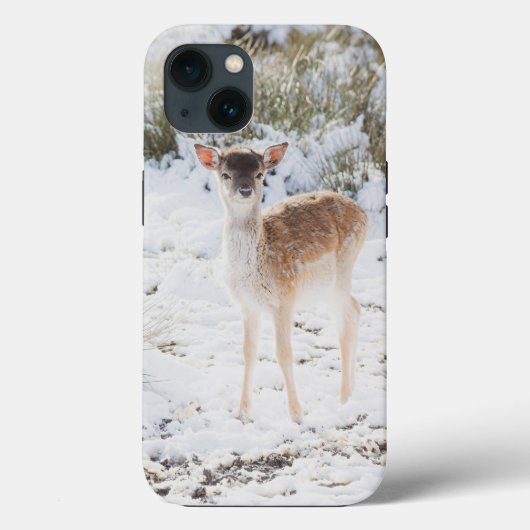 Schattigee kleine fawn in de wintersneeuw 1 #anima Case-Mate iPhone case (Achterkant)