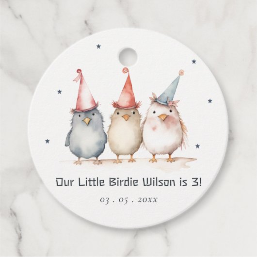 Schattigee kleine feestvogels elke leeftijd kinder bedankjes labels (Voorkant)