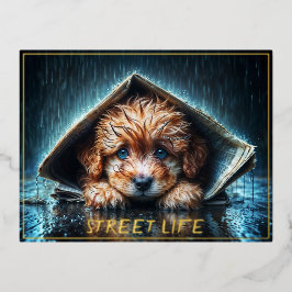 Schattigee kleine hond in regendag met blauwe ogen folie feestdagen briefkaart