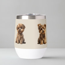 Schattigee kleine hondjes | Schattige Hondenliefhe