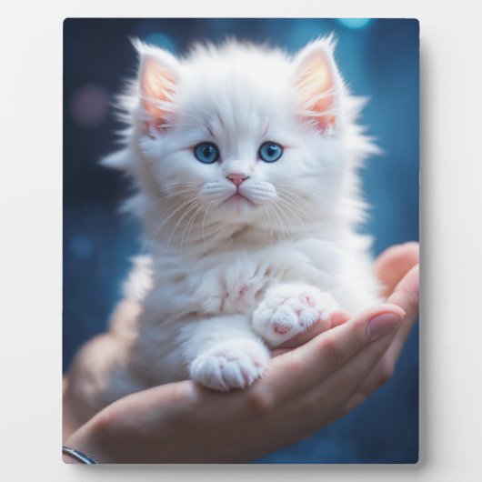 Schattigee kleine kitten design framers fotoplaat (Voorkant)