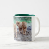 Schattigee kleine staarten tweekleurige koffiemok (Voorkant rechts)