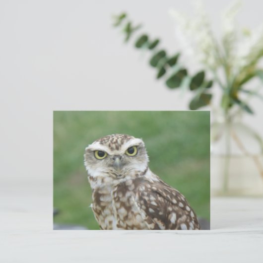 Schattigee kleine Uil DIY Briefkaart (Staand voorkant)