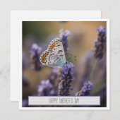 Schattigee kleine vlinder op lavendel aanpasbaar (Voorkant / Achterkant)