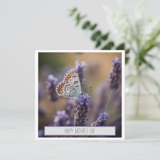 Schattigee kleine vlinder op lavendel aanpasbaar (Staand voorkant)