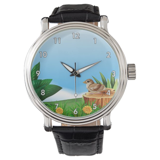 Schattigee kleine vogel in een veld horloge (Voorkant)