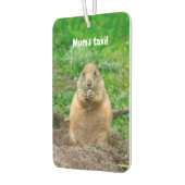 Schattigee kleine zwartstaartprairiehond luchtverfrisser (Links)